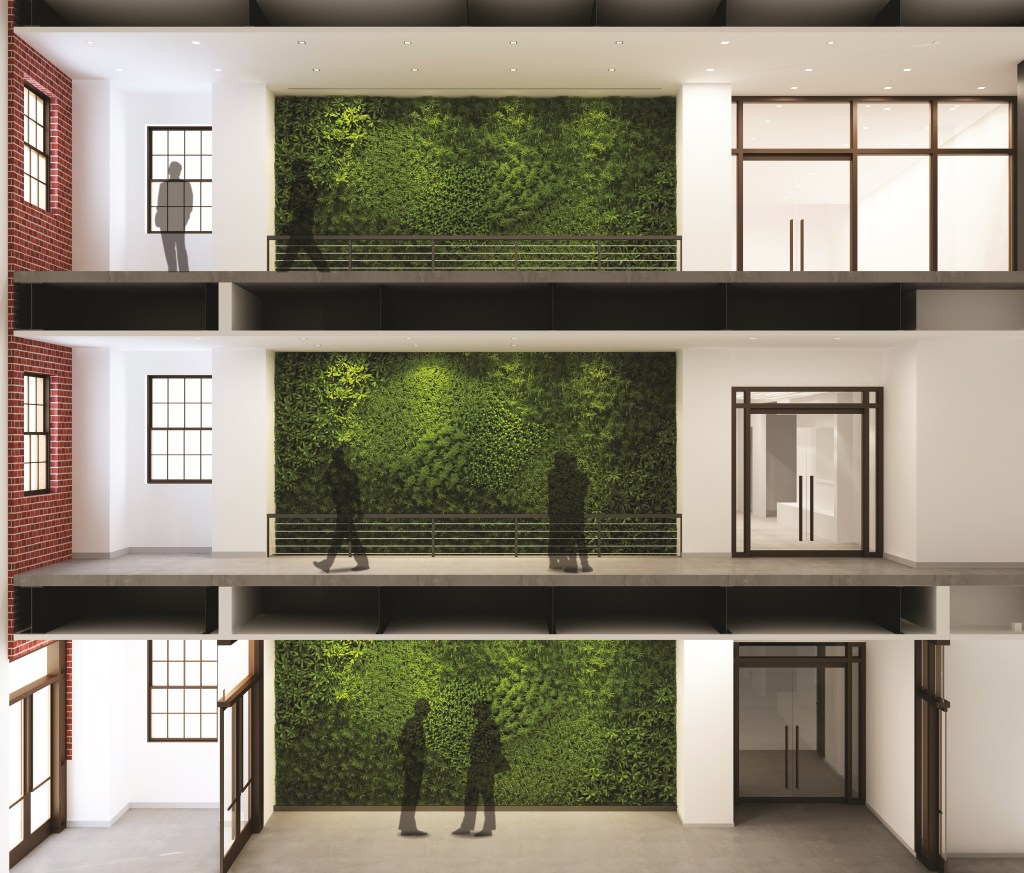 The S.T.E.M. building will feature an open space atrium that will give the interior a distinct visual appeal. In the background lies a “green wall,” a collection of preserved mosses and ferns customarily chosen.