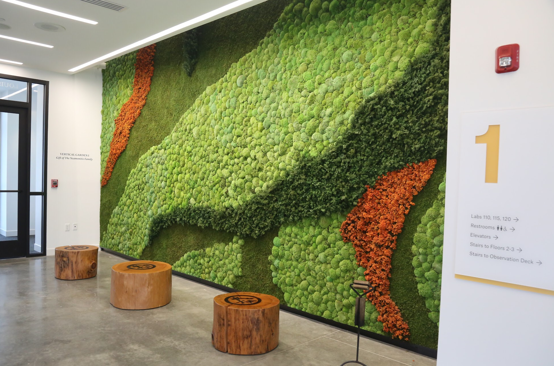 Living wall